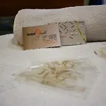 Galli 罗马